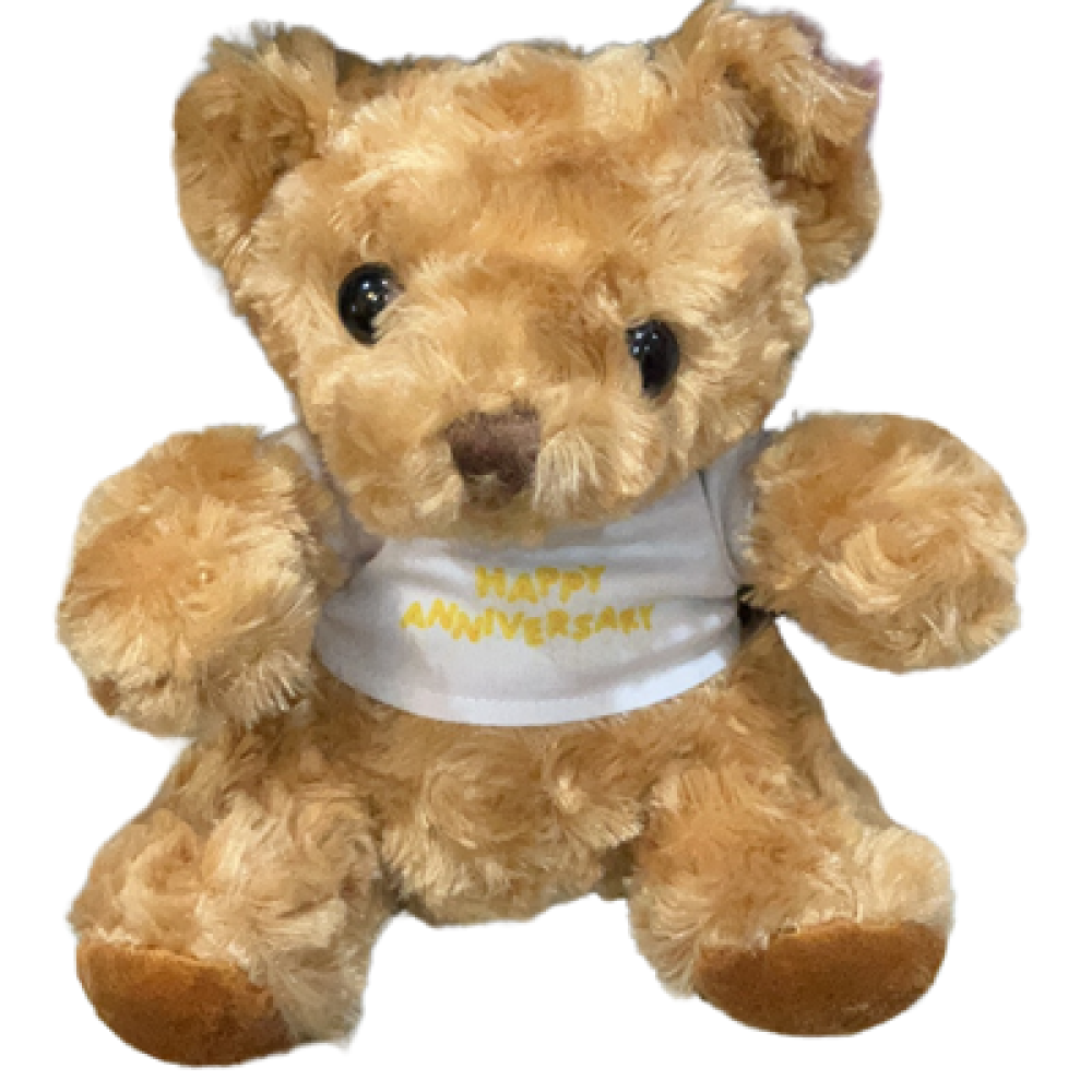 Teddy Bear With LOGO | Customized Soft Toy
